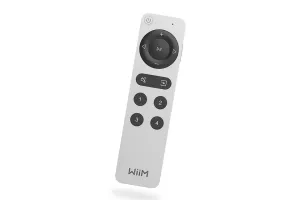 Wiim Remote 2